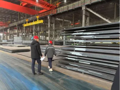 Yongdao Company's Medium and Heavy Plate Orders See Significant Growth